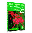 新品 DVD カラオケ全集9 BEST HIT SELECTION 心に沁みる真心の唄 (DVD) DKLK-1002-4