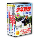 【DVD全5巻】新品 必ずうまくなる 少年野球 ピッチング 守備 バッティング レベルアップ 編 (収納ケース付) セット