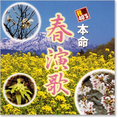 新品 R40’s 本命 本命 春演歌 (CD)
