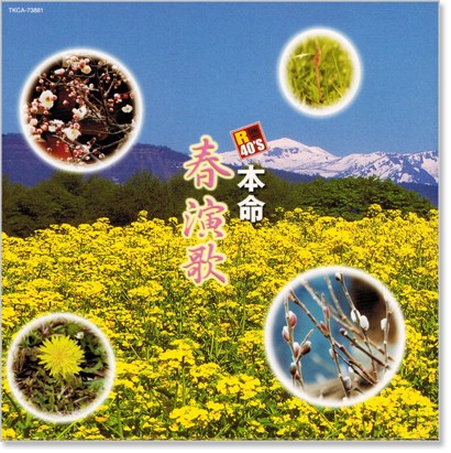 新品 R40’s 本命 本命 春演歌 (CD)