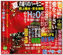 【本人歌唱】新品 スター 千夜一夜 こころの青春 少しは私に愛を下さい (CD) BHST-181