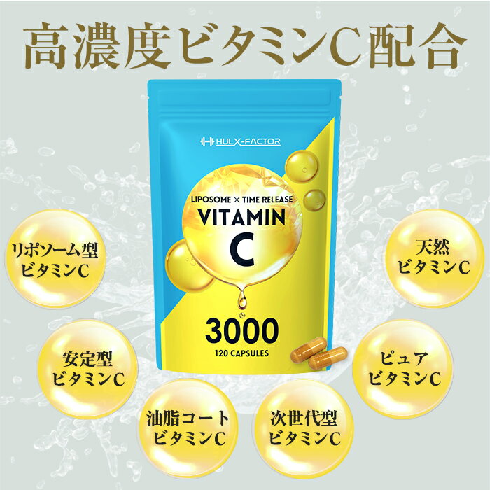 【訳あり／袋キズ・新品】【2袋セット】高吸収 リポソーム 持続型 タイムリリース ...