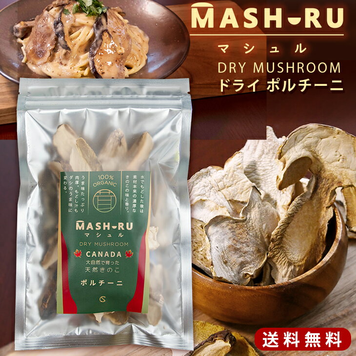 【送料無料】 ポルチーニ茸 マシュル（MASHURU）乾燥 ポルチーニ茸 20g カナダ産 高級天然きのこ キノコ 乾燥 ポルチ…