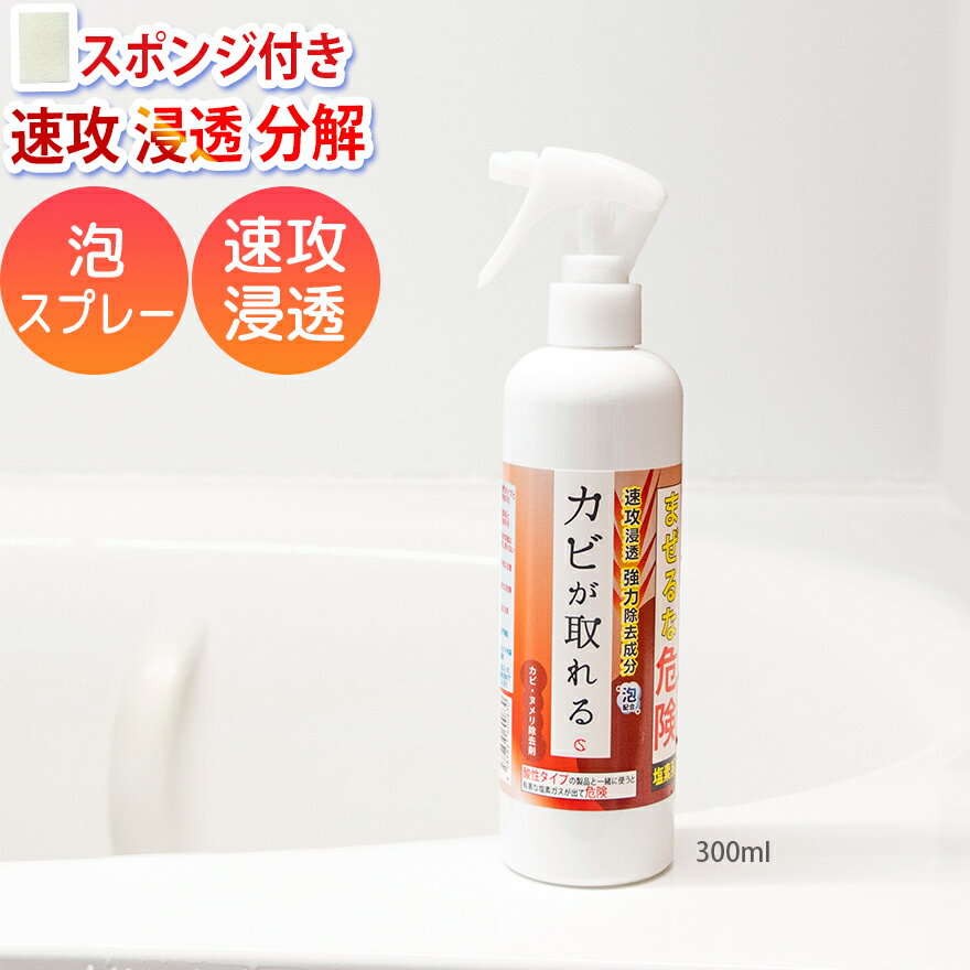 カビ取り カビが取れる 泡スプレー 300ml 高濃度【送料