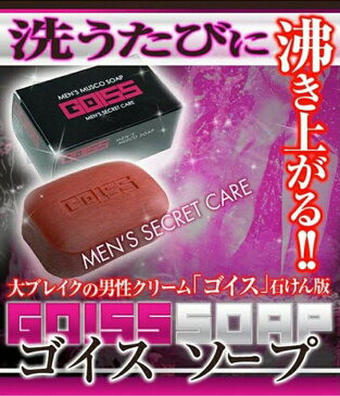 【メール便 送料300円】男性用加齢臭ケアの石鹸♪　−GOISS・ゴイスソープ100g−　植物由来成分でオトコにハリを与える!!　【消費税込み】【セール対象商品-G9】