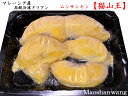 ドリアン 【猫山王】マレーシア産　榴蓮 durian（冷凍）300g その1