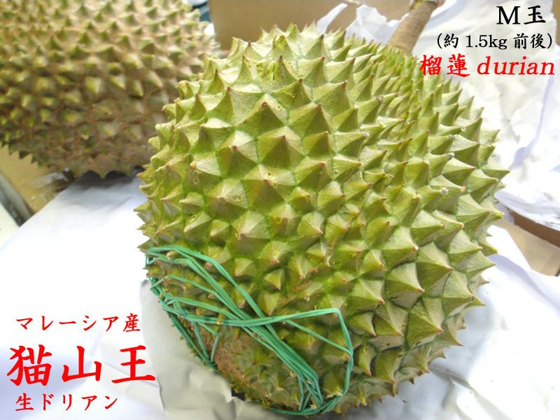 予約販売：6月18日09時締切 ドリアン 【猫山王】マレーシア産　榴蓮 durian 生M玉 ...