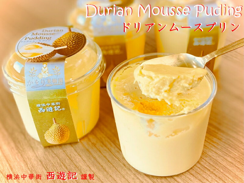 ɥꥢץ durianpuding 100g6 ޥ졼ɥꥢ100%