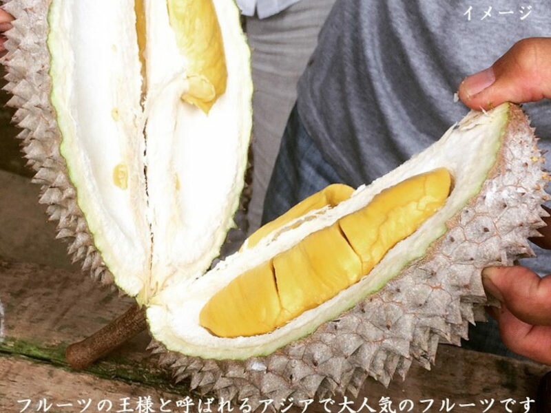 予約販売:6月18日10時締切　ドリアン 【裏雷神】マレーシア産　榴蓮 durian 生M玉...