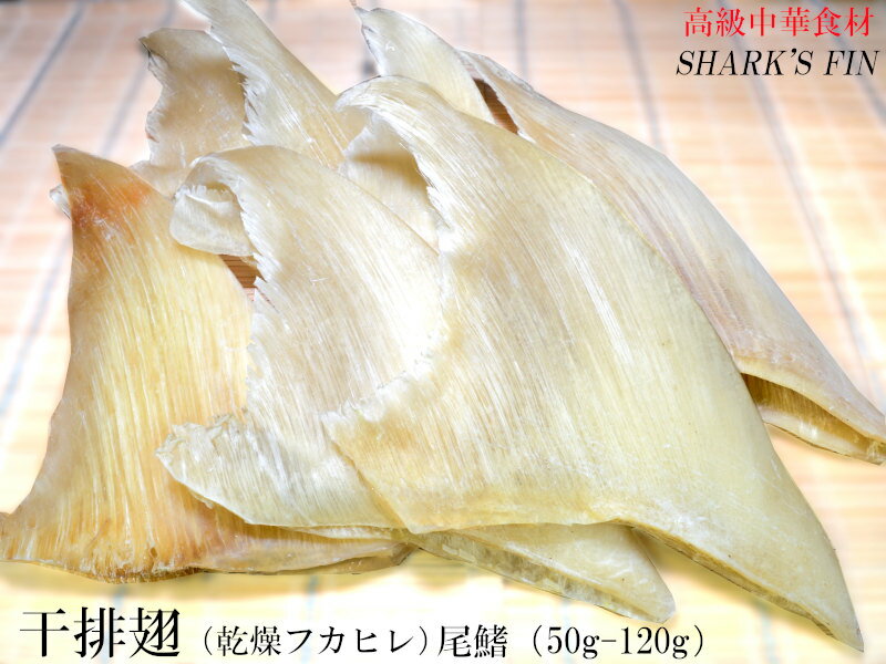 フカヒレ 乾燥排翅 尾鰭（50-120g）98g 1枚入