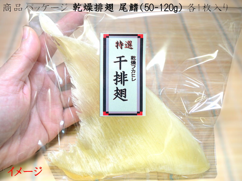 フカヒレ 乾燥排翅 尾鰭（50-120g）54g 1枚入 3