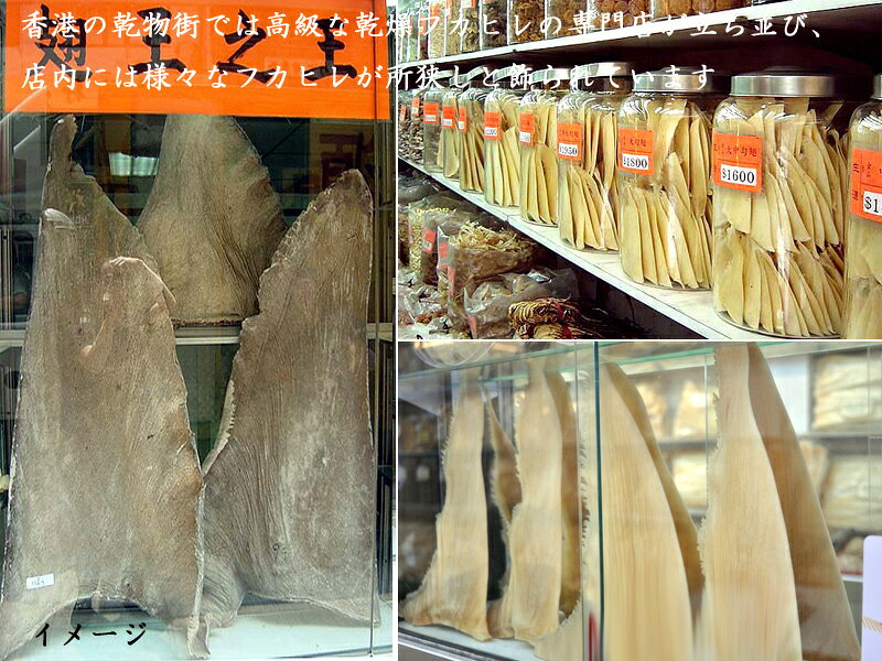フカヒレ 冷凍排翅 ヨシキリザメ 背鰭 砕け（L）業務用1kg ふかひれ姿煮