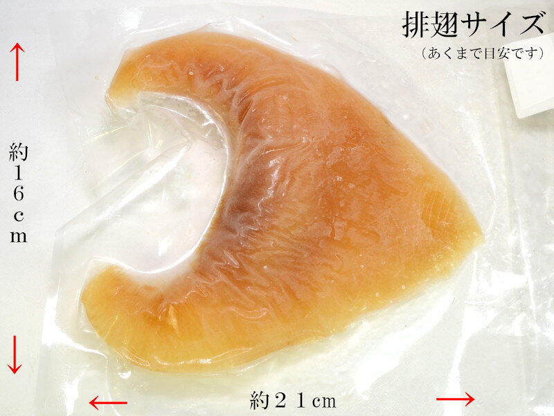 フカヒレ 冷凍 業務用排翅 ヨシキリザメ尾びれ 大（268g） 1枚 ふかひれ姿煮