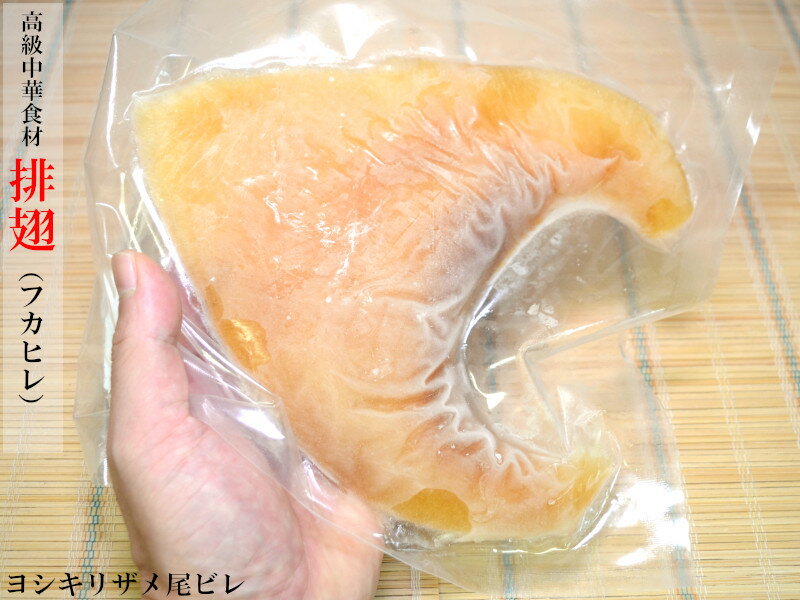 フカヒレ 冷凍 業務用排翅 ヨシキリザメ尾びれ 大（268g） 1枚 ふかひれ姿煮