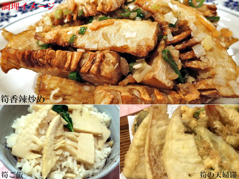 たけのこ 冬筍 春の味覚 Sサイズ 水煮缶