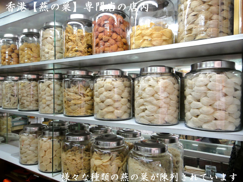 ツバメの巣 燕窩 （約15g） 燕の巣