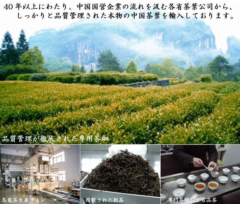 烏龍くき茶 棒茶 1kg 業務用 紅灯牌オリジナル 3