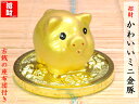 財運アップミニ金豚の置物(古銭座布団付)