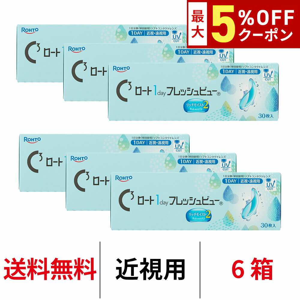 Rakuten - 送料無料[6箱]ロート ワンデーフレッシュビューリッチモイスト2 6箱セット 1箱30枚入り 1day ワンデー 1日使い捨て ROHTO コンタクトレンズ クリアレンズ BC8.6mm DIA14.2mm ロート製薬 近視用