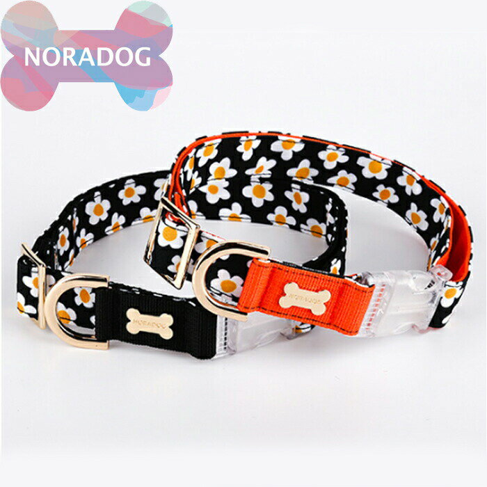 NORADOG Υɥå Daisy/ǥ 顼()SM 顼()  淿  襤    μ  襤 ֥ Ķ  Ӥ ڤ Ƹ  ȥסɥ Ѽ ڹ