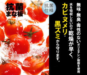 ���ݤޤ��ġ�230*410*13mm