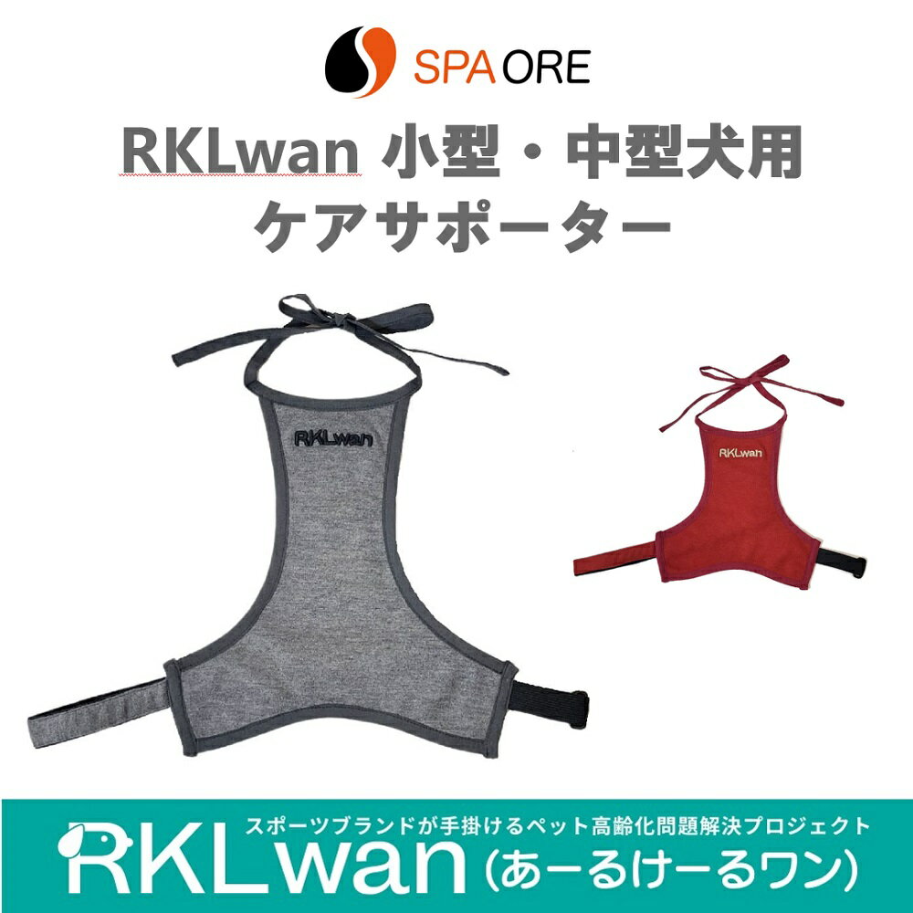 RKLwan  ݡ ץ󥿥 ѥ  淿 Ϸ  ή¥ å δ