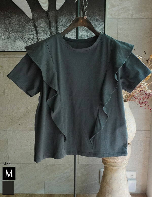 トップス (CH-2073) カジュアル　春夏秋　チャコール　コットン 綿 Tシャツ カットソー