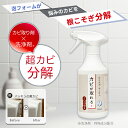 cubic-square:10000293のサンプル画像3
