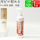 カビ取り カビが取れる【送料無料】 カビ取りスプレー 300ml 泡成分カビ取り 高濃度 強力 お風呂 タイル目地 カビ取り剤 水回り 排水口 パイプ シンク 壁紙 クロス 天井 パッキン 浴室 かび取り かびとり まな板