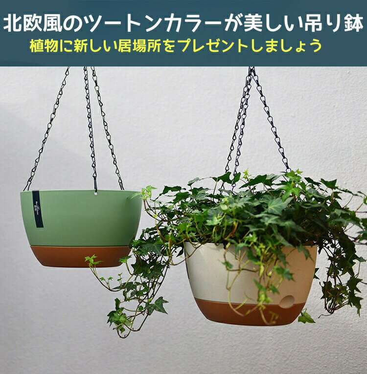 吊り鉢 植木鉢 ハンギングバスケット口径29cm 3っ点セット壁掛け 吊るす 吊り下げ ...