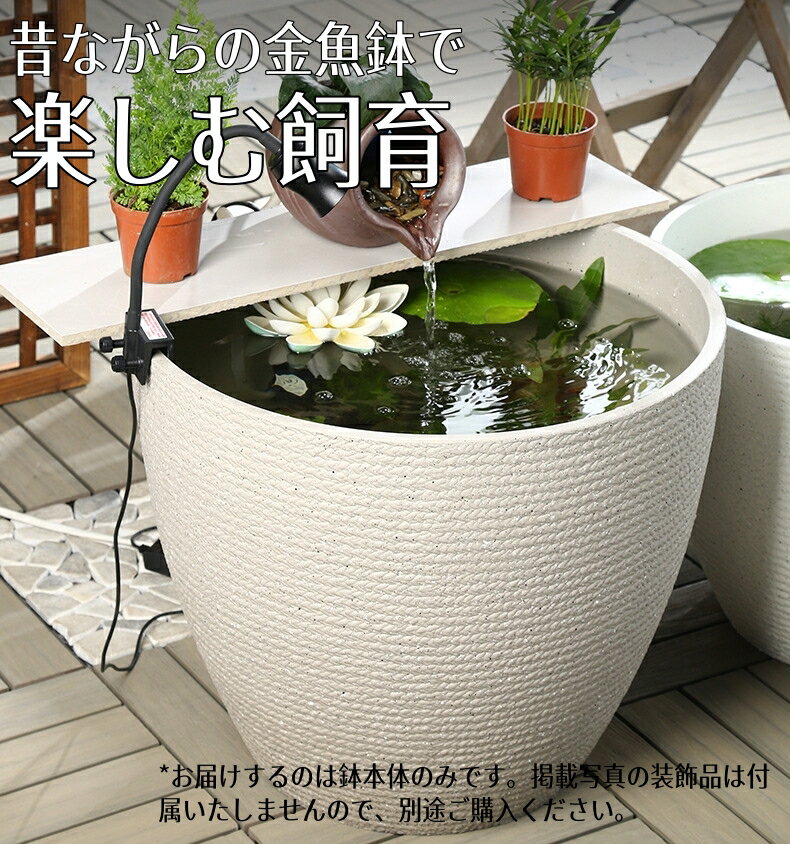 ���ȭ ��ȭ �ӥ��ȡ��� ��ϡȭ �����ȭ �������ȭ �����ȭ �ץ饹���å� �緿 ���� ������� ��ȭ ����ȭ ������ ���� ���ˤ��� ��� ���� ��ȭ ������ʪ��