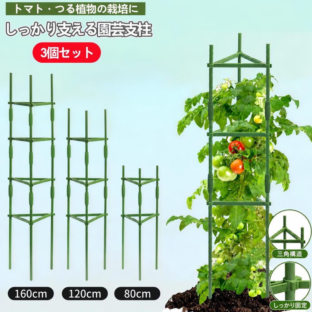 樂天商城 - 【3個セット】園芸支柱 植物支柱 トマト支柱 棚 支柱 高さ80cm 120cm 160cm つる性 観葉植物 誘引 ガーデニング用 棚セット 園芸サポート きゅうり棚 野菜棚 栽培棚 組み立て式 空中栽培 ガーデニング用品 家庭菜園