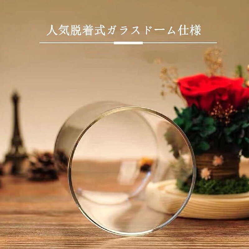 �֥ꥶ���֥ɥե� �ɥ饤�ե� ���饹�ɡ��� �ץ쥼��� �� �Х� ���ե� ������ ���եȥܥå��� �֤ꤶ���ɥե� �� ����� �Ϥ�ʤ��� ��åԥ󥰺Ѥ� ��å����������� �ʱ�β� �뺧��ǰ�� �ץ쥼��� �ʤ� ����ˤ� ���� ���� ���ڤοͤ�