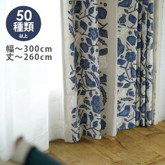 https://thumbnail.image.rakuten.co.jp/@0_mall/cucan/cabinet/dlodr-300_260.jpg