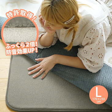 送料無料 防音 ふかふか下敷き専用 ラグ ふかぴたPLUS[厚手] 170×230cm 3畳用 1K◆ [特許取得 第6369846号] セパレートラグ スミノエ | ラグマット カーペット 床暖房対応 秋冬 ウレタン リビング マット らぐ ラグ 厚手