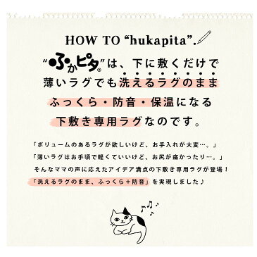 送料無料 防音 ふかふか下敷き専用ラグ ふかぴた PLUS [厚手] 170×170cm 2畳用 1K◆ [特許取得 第6369846号] セパレートラグ 滑り止め カーペット リビング 秋冬 マット らぐ ホットカーペットカバー 床暖房対応 厚手