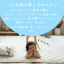 送料無料 防音 ふかふか下敷き専用 ラグ ふかぴたSTANDARD 170×170cm 2畳用 1K◆ [特許取得 第6369846号] ラグの下に敷く ラグ スミノエ ラグ 滑り止め 洗える カーペット 春夏 マット ラグ 厚手 イブル 床暖房対応 ふかピタ ふわピタ 2