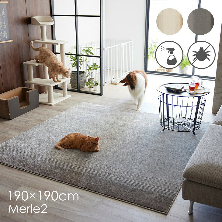 Rakuten - ラグ マール2 190×190cm 23AW◆消臭 防ダニ 滑り止め 床暖房・ホットカーペット対応 北欧 おしゃれ 無地 韓国インテリア ジャパンディ ペット 犬 猫 イヌ ネコ 日本製ラグ ラグマット カーペット スミノエ 190 190
