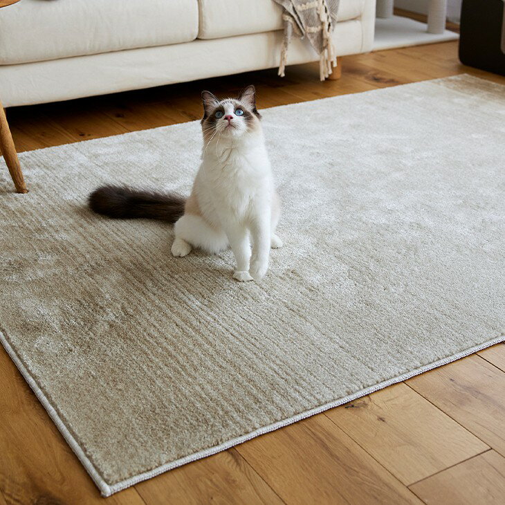 ラグ マール2 130×190cm 23AW◆消臭 防ダニ 滑り止め 床暖房・ホットカーペット対応 北欧 おしゃれ 無地 韓国インテリア ジャパンディ ペット 犬 猫 イヌ ネコ 日本製ラグ ラグマット カーペット スミノエ 130 190 [2]