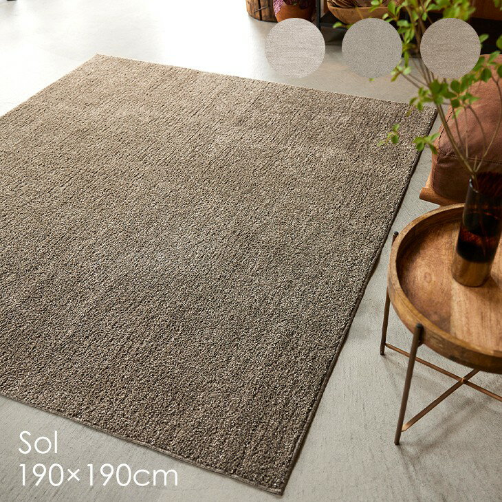 Rakuten - [P5倍 6/15 23:59迄] 洗える ラグ ソル 190×190cm 22AW◆洗える 防ダニ 滑止 床暖房・ホットカーペット対応 北欧 おしゃれ 無地 アイボリー ブラウン グレージュ 日本製ラグ ラグマット カーペット スミノエ 190 190 リビング ダイニング ラグマット スミノエ