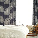 Ռ I[_[J[e MICKEY/~bL[ IILCAll Disney8C[W[I[_[ 􂦂 EHbVu { l炵  rO X~mG fBYj[ Disneyzone