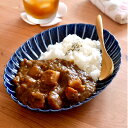 カレー皿 楕円 ぎやまん 楕円大皿 【 クッチーナホーム 】 送料無料 ぎやまん陶 お皿 食器 和風 和食器 カレー 皿 盛り皿 ワンプレート メインディッシュ おしゃれ かわいい カフェ風 磁器 美濃焼 日本製 国産 ギフト プレゼント 贈り物 カネコ小兵