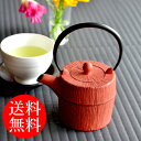 100円OFFクーポン対象 急須 南部鉄器 朝日 鉄急須 藍花 Aika クッチーナホーム 送料無料 ポット カラー 岩鋳 ティーポット きゅうす おもてなし おしゃれ かわいい プレゼント ギフト 雑貨