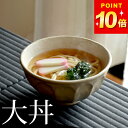 【限定2000円OFFクーポン】 どんぶり 大 リンカ 白練 大丼 カネコ小兵 クッチーナホーム 丼 丼ぶり ボウル うどん ラーメン ラーメン鉢 盛鉢 和食器...