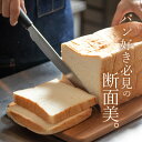【限定2000円OFFクーポン】 サンクラフト パン切りナイフ パン切りナイフ SUU スー サンクラフト クッチーナ 送料無料 パン切りナイフ パン切り パン...