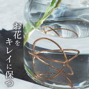 【GW限定100円OFFクーポン】 花瓶 水 長持ち 銅 銅のフラワーライフボール L クッチーナ 花瓶 水 長持ち 銅 抗菌 切り花 銅 花 キープ 生花 コ...