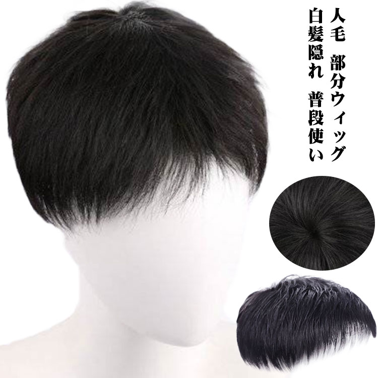 ヘアピース トップカバー 増毛 部分ウィッグ メンズウィッグ メンズ用 男性用 紳士用 白髪 薄毛 円型脱毛症 トップピース ショート 送料無料 部分かつら 頭頂部 男性用ウィッグ 薄毛 ヘアピース メンズウィッグ 薄毛 白髪隠れ 人毛