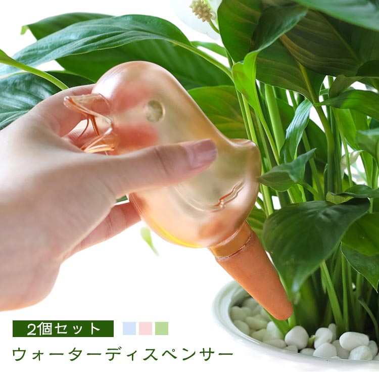 ・ウォーターディスペンサー ・観葉植物の土の水分が不足した際に自動給水してくれるので、出張や旅行などで家を留守にする際も安心です。 ・可愛らしい鳥のデザインなので、ポットとコーディネートして飾ることでインテリアのポイントになります。 ・水の代わりに液体肥料を入れてもご使用いただけます。 サイズ 125ml サイズについての説明 【サイズ】高さ16.6cm×幅7cm 　　※上記サイズは平置き実寸になります。サイズ表の実寸法は商品によって1-3cm程度の誤差がある場合がございます。 素材 PS テラコッタ 色 ブルー2個セット ピンク2個セット グリーン2個セット 備考 ●サイズ詳細等の測り方はスタッフ間で統一、徹底はしておりますが、実寸は商品によって若干の誤差(1cm～3cm )がある場合がございますので、予めご了承ください。 ●製造ロットにより、細部形状の違いや、同色でも色味に多少の誤差が生じます。 ●パッケージは改良のため予告なく仕様を変更する場合があります。 ▼商品の色は、撮影時の光や、お客様のモニターの色具合などにより、実際の商品と異なる場合がございます。あらかじめ、ご了承ください。 ▼生地の特性上、やや匂いが強く感じられるものもございます。数日のご使用や陰干しなどで気になる匂いはほとんど感じられなくなります。 ▼同じ商品でも生産時期により形やサイズ、カラーに多少の誤差が生じる場合もございます。 ▼他店舗でも在庫を共有して販売をしている為、受注後欠品となる場合もございます。予め、ご了承お願い申し上げます。 ▼出荷前に全て検品を行っておりますが、万が一商品に不具合があった場合は、お問い合わせフォームまたはメールよりご連絡頂けます様お願い申し上げます。速やかに対応致しますのでご安心ください。