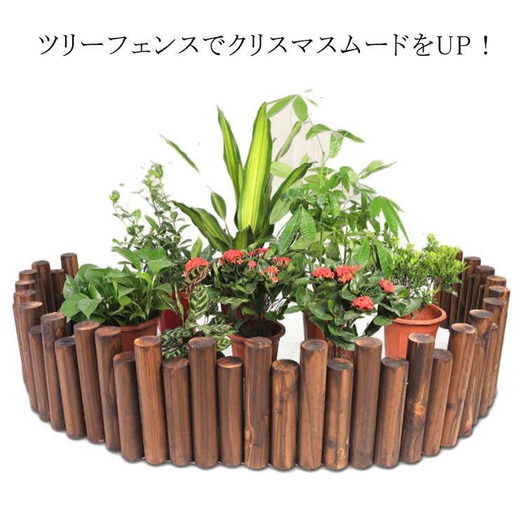 ���� �ĥ꡼ �ӱ��� ­������ �ܱ��� ���� ���åɥե��� ���ꥹ�ޥ��ĥ꡼ �ӥ��С� ���� 18�ܥ��å�/15�ܥ��å�/13�ܥ��å� ����ƥꥢ �١�������...