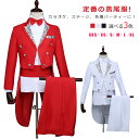 ステージ衣装 メンズ 燕尾服 スーツ マジシャン衣装 ダンス衣装 舞台衣装 選べる2タイプ 花柄 無地 指揮者用 オーケストラ衣装 カラオケ衣装 タキシード仮面...